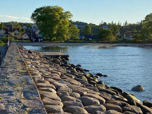 Facilities, Charming street house in downtown Kivik, Osterlen in Kivik