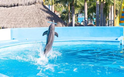 Splash Inn Nuevo Vallarta & Parque Acuatico - 워터파크