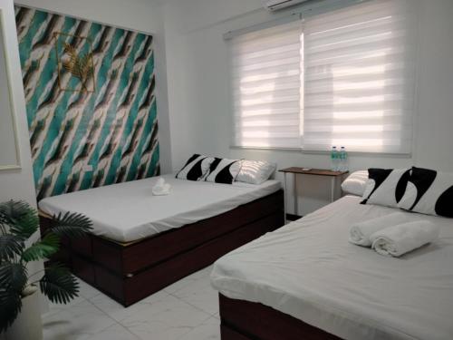 Marias transient house