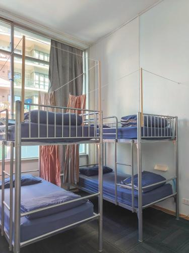 Metro Adventurer Backpackers in Auckland