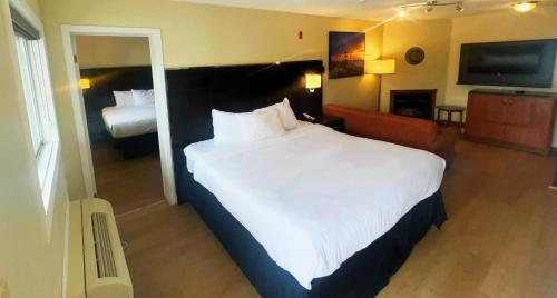 2 queen beds, 1 sofa bed