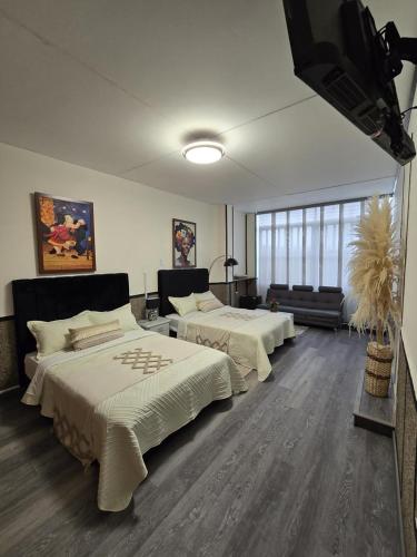 ESPACIOSA MODERNA y SILENCIOSA HABITACION
