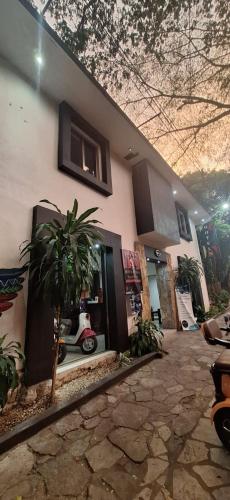 ทัศนียภาพภายนอกโรงแรม, Hotel Sevilla Palenque in พาเรน