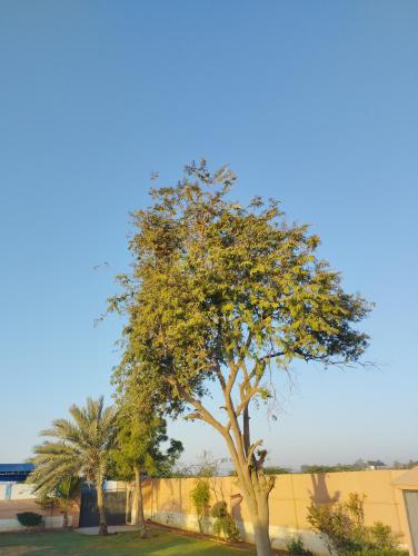 Garden, The GetAway in Malir