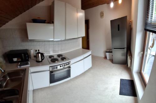 Vacation Rental Good Times in Friedberg