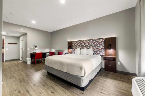 1 king bed, 1 sofa bed