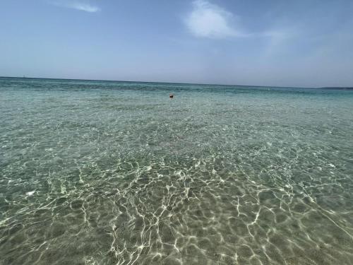 Gallipoli Resort - image 3