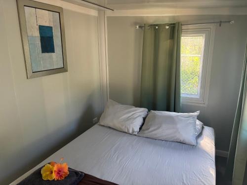 Taumeasina Island Beach Pods in Vaiala Beach