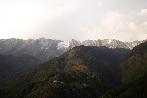 The tented tribe, Dharamsala (fotografie 6)