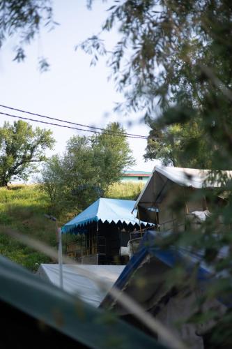 The tented tribe, Dharamsala (fotografie 10)