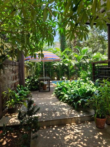 Casa Nona-Luxurious 3BHK PRIVATE Pool Villa North Goa