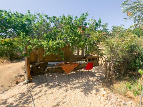 สภาพแวดล้อมโดยรอบ, Cabaña La Vida Plena (Cabana La Vida Plena) in อิลลาเปล