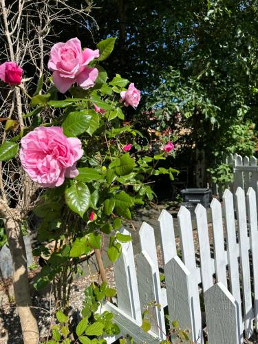 Hobro guesthouse in Hobro