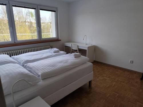 Gemini 293, Zlín, Zlín (photo 4)