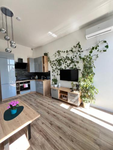 Apartament Green Loft Centrum