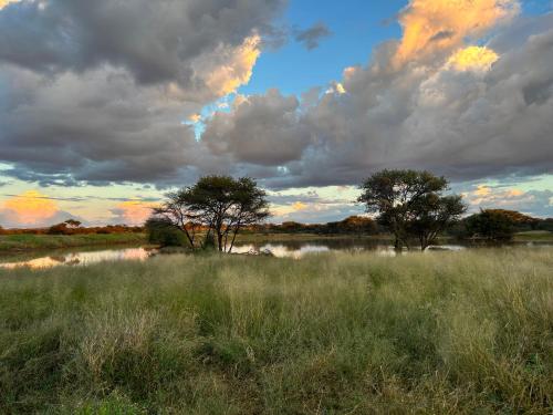 Pemandangan, Northern Rock Campsites in Otjiwarongo
