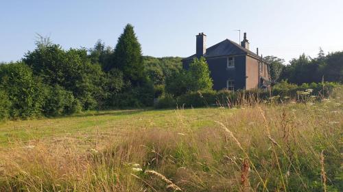 Gorgeous Devon Farmhouse, nature on your doorstep in Totnes