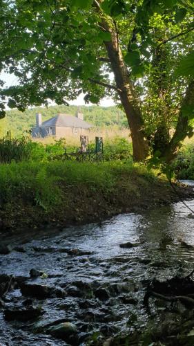 Gorgeous Devon Farmhouse, nature on your doorstep in Totnes