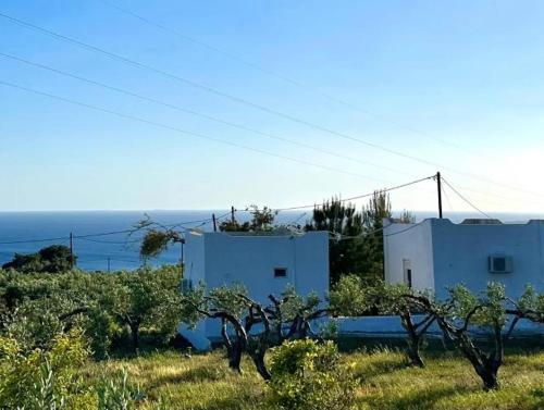 Studios Crete Room Type - Budget Double Room