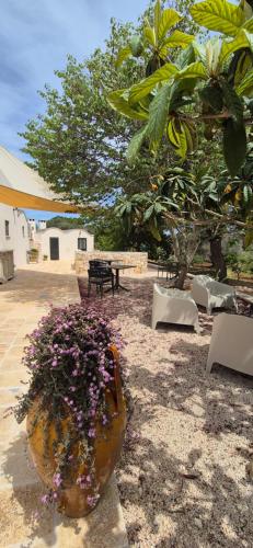 Exterior view, B&B il Nostro Sogno in Ceglie Messapica