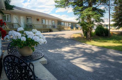 Motel Des Cascades - Accommodation - Baie-Saint-Paul