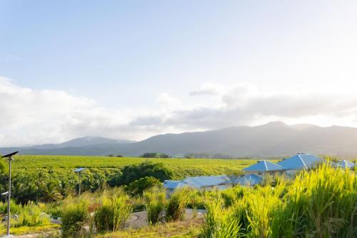 Surrounding environment, Aimeelie Appartement in Lamentin