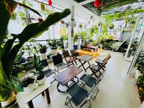 Hello SaiGon Homestay in 3. kerület