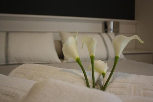 Hotel Herreros - image 2