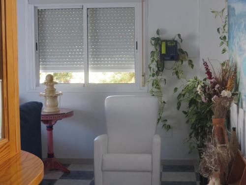 Hostal Puerto Genovés - image 4