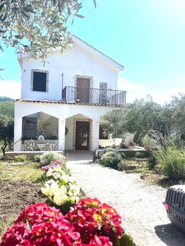 Villetta con Oliveto CFG