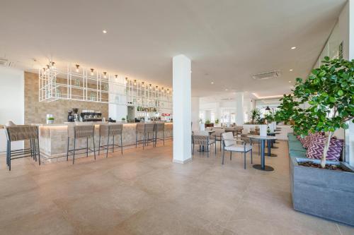 페레르 콘코드 호텔 앤 스파 - 바/라운지