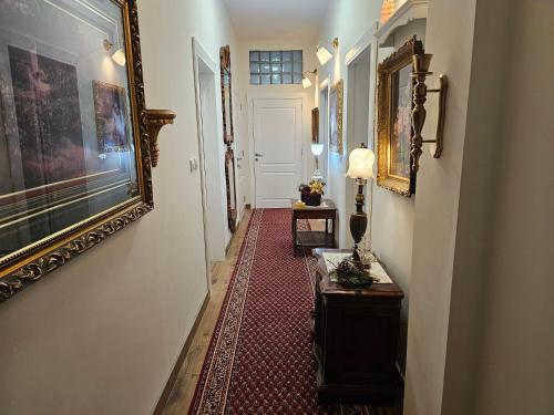 貝爾格勒 VANSVEL Boutique Apartment 14 4星级 单人房 景观