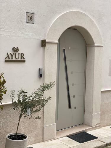 . AyUR Emotional Suite