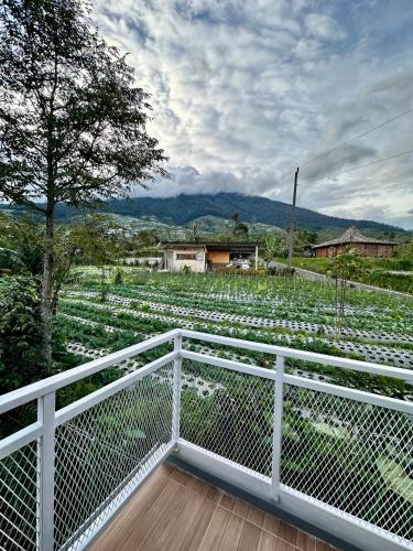 Balcony/terrace, Holand style Vila Comfy for Family blue in Temanggung