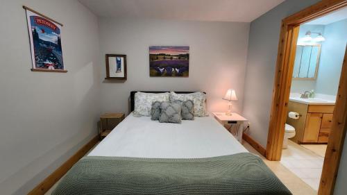 Woods Way Hideaway - minutes from Petoskey & Harbor Springs - close to beaches skiing & more! - image 8