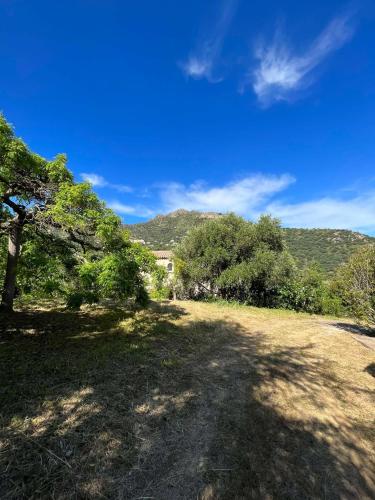 Bel appartement au calme in Santa-Reparata-di-Balagna