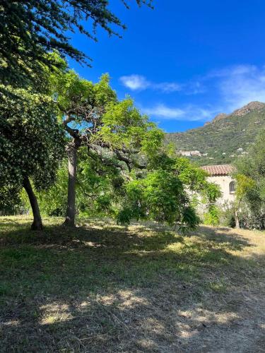 Bel appartement au calme in Santa-Reparata-di-Balagna