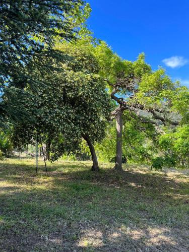 Bel appartement au calme in Santa-Reparata-di-Balagna