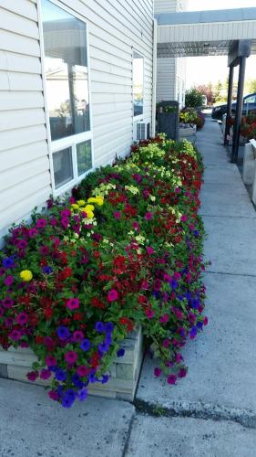 Super 8 By Wyndham Yellowknife in Yellowknife (Északnyugati Területek)