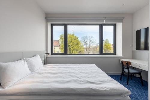 Roze Kurmajas Hotel - image 3