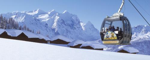 Hotel Meiringen - image 7