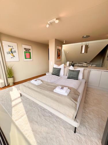 Penthouse Deluxe I Dachterrasse I Parkplatz, Drážďany (fotografie 9)