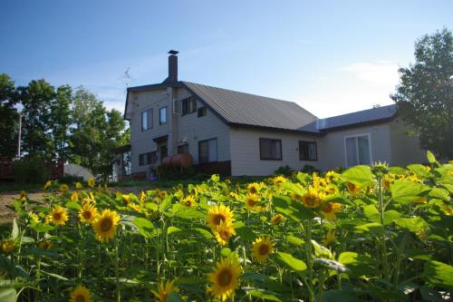 balkong/terrass, Guesthouse Akane-Yado (Adult Only) near Glass Forest in FURANO