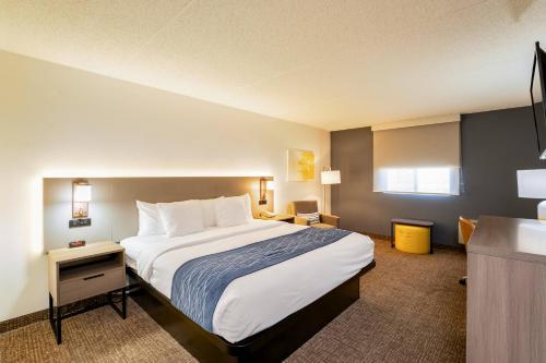 Standard Room, 1 King Bed, Non Smoking