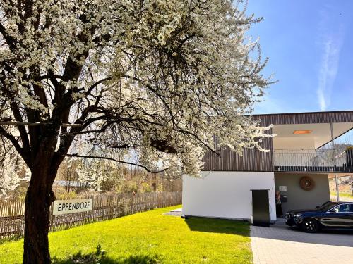 DAS GEORG Gastehaus in Epfendorf