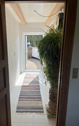 The Fishermen's House - charming and close to beach in Vanga