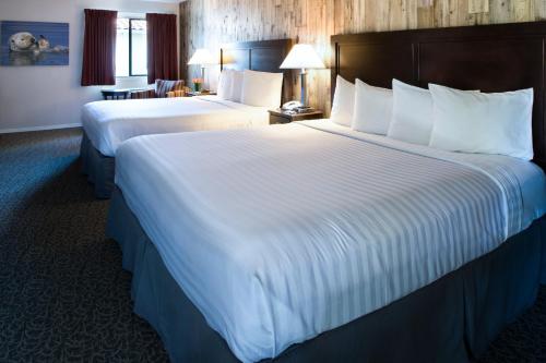 2 queen beds