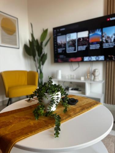 Cozy 1BR In The Heart of The Marina, Dubái (foto 10)