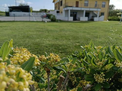 Natura e Mente Camere e Relax 2