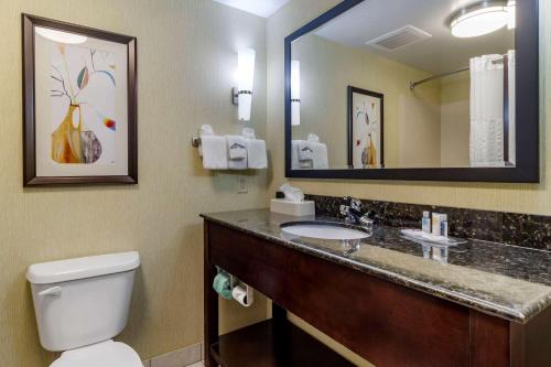 Comfort Suites Knoxville West - Farragut - image 11